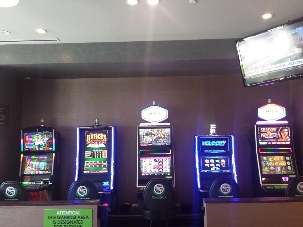 Wyndham Garden Elk Grove Village - O'Hare Dış mekan fotoğraf