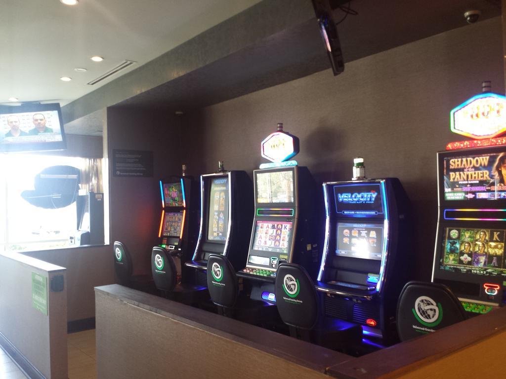 Wyndham Garden Elk Grove Village - O'Hare Dış mekan fotoğraf